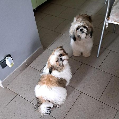 B&B La Fontanella Riccò del Golfo di Spezia Kültér fotó